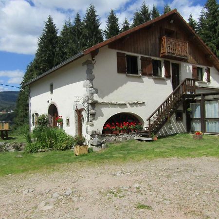 Hotel La Boissellerie Saulxures-sur-Moselotte Zewnętrze zdjęcie