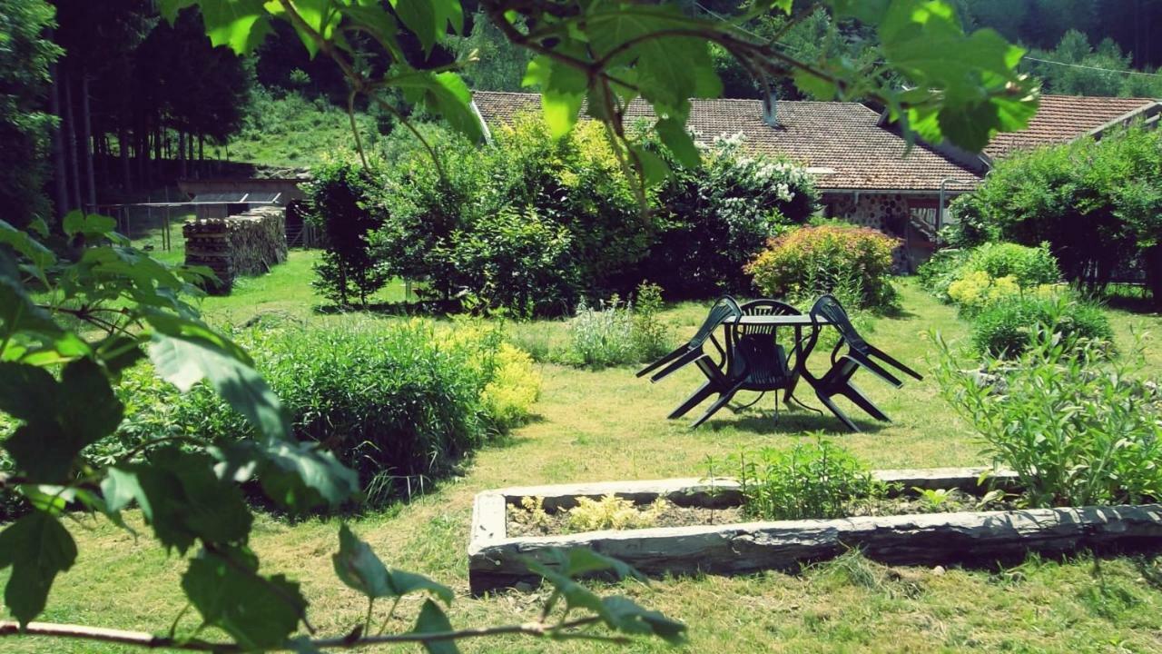 Hotel La Boissellerie Saulxures-sur-Moselotte Zewnętrze zdjęcie